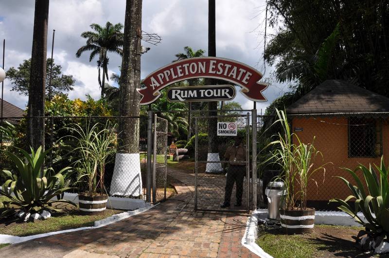 Appleton Estate Rum Tour